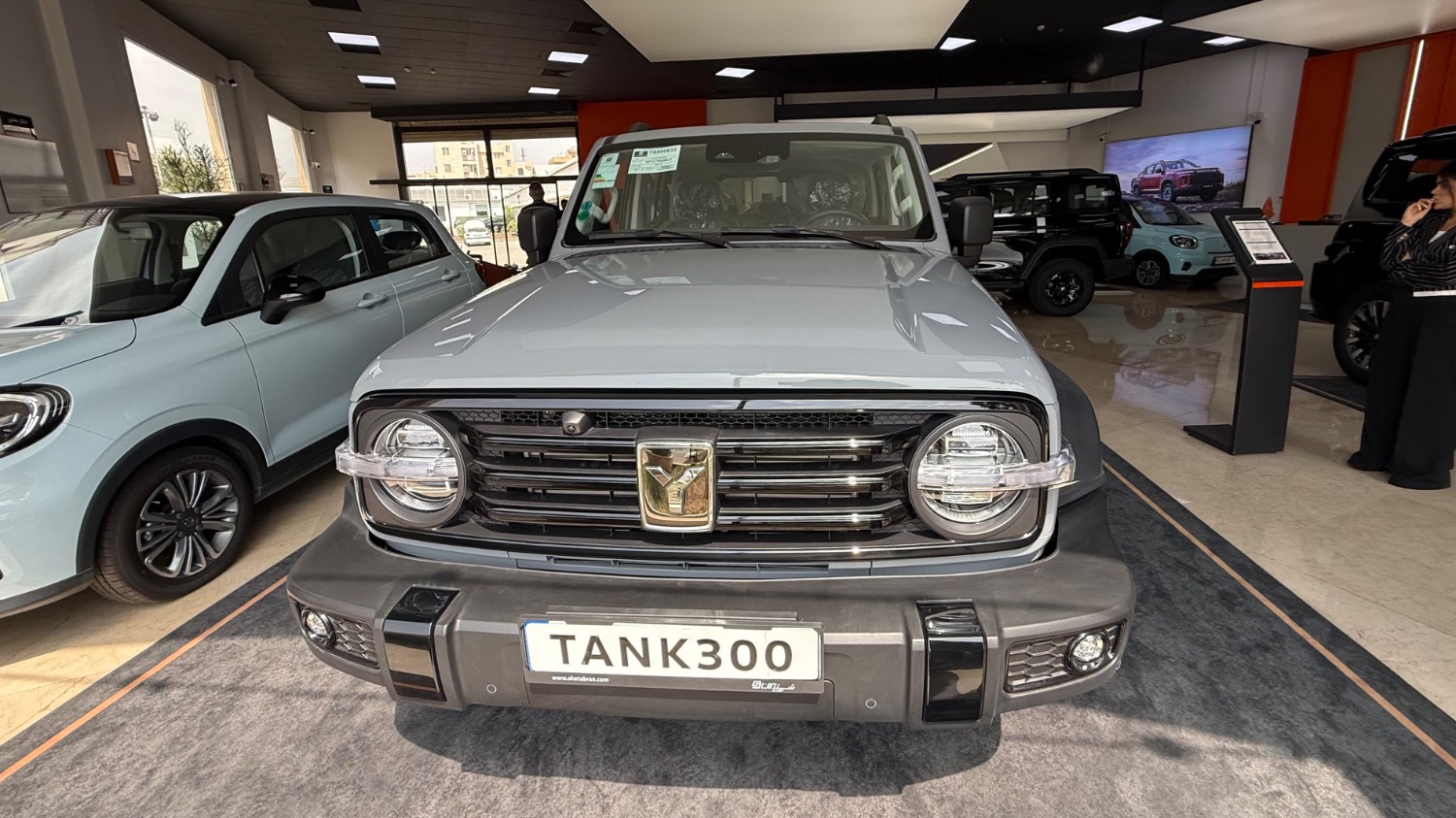 tank 300